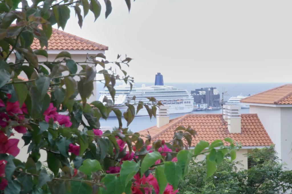 Carvalhal Old Town Apartment Funchal  Luaran gambar